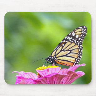 Monarch Butterfly Mouse Pad