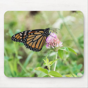 Monarch Butterfly Mouse Pad