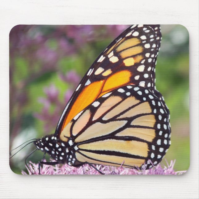 Monarch Butterfly mousepad (Front)