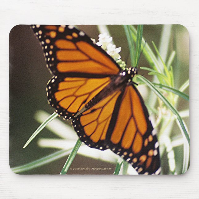 Monarch Butterfly Mousepad (Front)