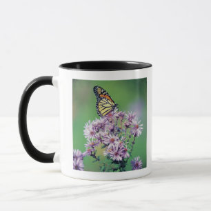 Monarch Butterfly Mug