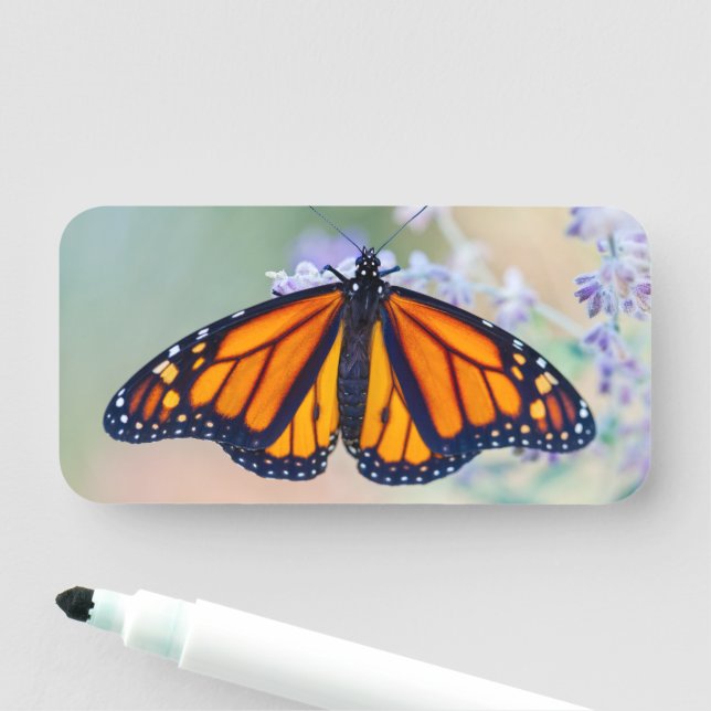 Monarch Butterfly Name Tag (In Situ)