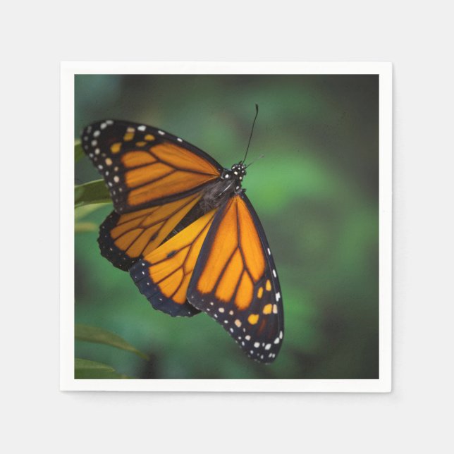 Monarch Butterfly Napkin (Front)