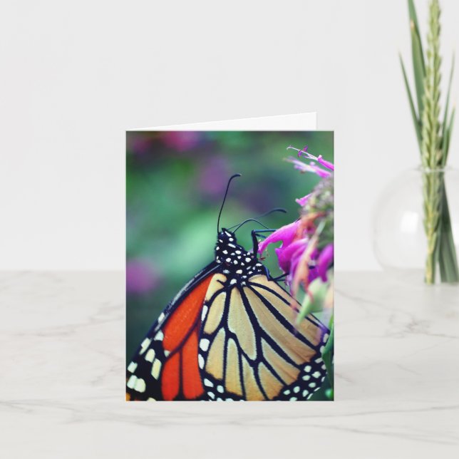 Monarch Butterfly Nature Photography  Note Card (Front)