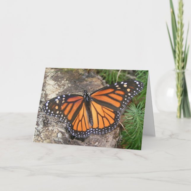 Monarch Butterfly Note Card (Front)