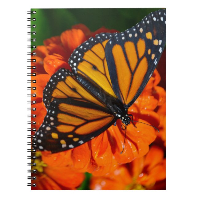 Monarch Butterfly Notebook (Front)