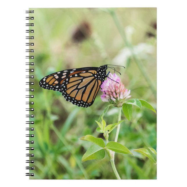Monarch Butterfly Notebook (Front)