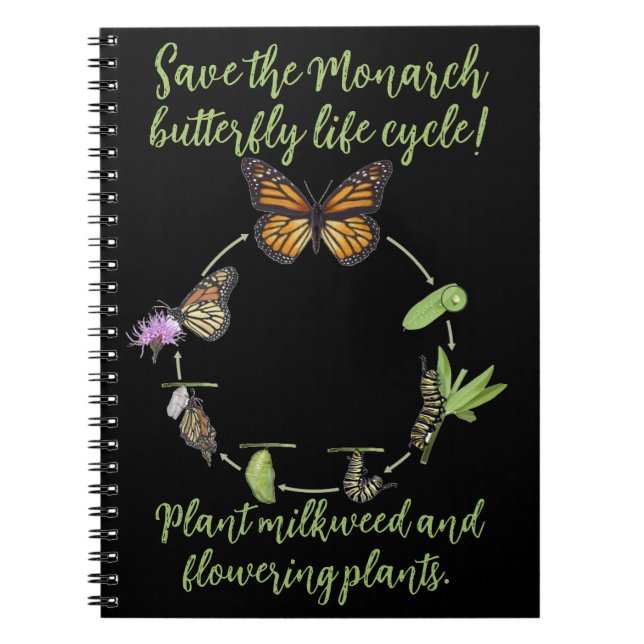 Monarch butterfly notebook (Front)