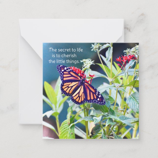 Monarch Butterfly notecards (Front)
