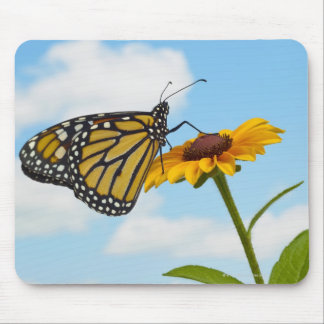 Monarch Butterfly on a Black Eyed Susan Mouse Pad
