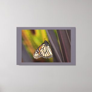 Monarch Butterfly on Agave Canvas Print