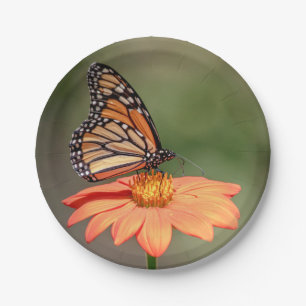Monarch Butterfly on an orange flower Paper Plate
