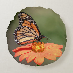 Monarch Butterfly on an orange flower Round Pillow