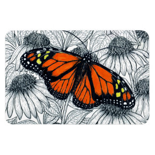 Monarch butterfly on coneflowers magnet