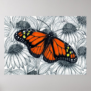 Monarch butterfly on coneflowers poster