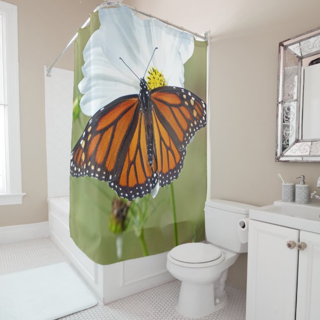 Monarch Butterfly on Cosmos (In Situ)