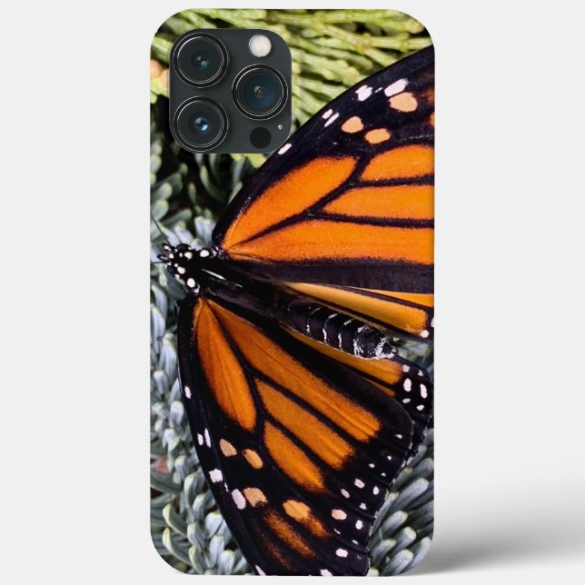 Monarch butterfly on evergreens Case-Mate iPhone case (Back)