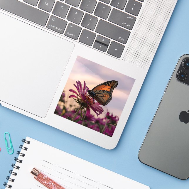Monarch Butterfly on Flower (Laptop w/ iPhone)