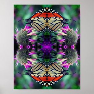 Monarch Butterfly On Flower Close Up Abstract  Poster