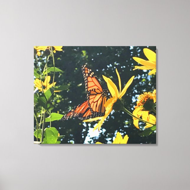 Monarch Butterfly on Flower Photograph  Canvas Print (Front)