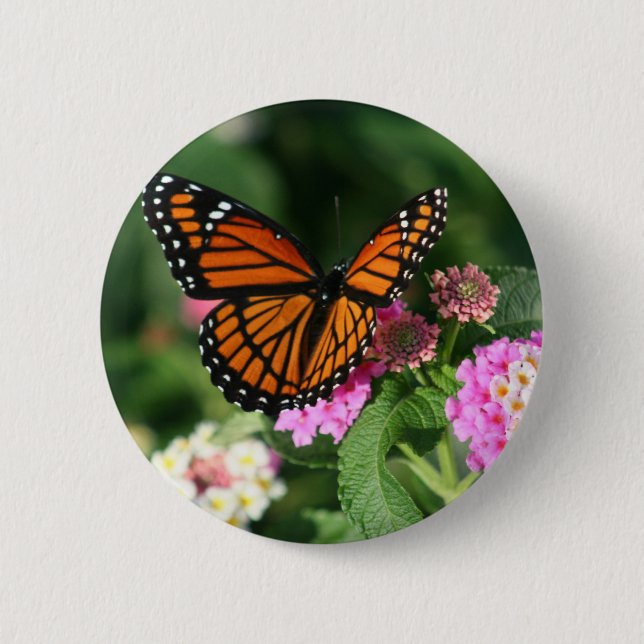 Monarch Butterfly on Lantana Flower 2 Inch Round Button (Front)