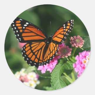 Monarch Butterfly on Lantana Flower Classic Round Sticker
