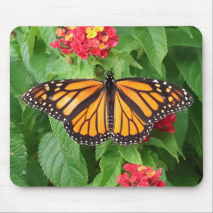 Monarch Butterfly on Lantana Mouse Pad