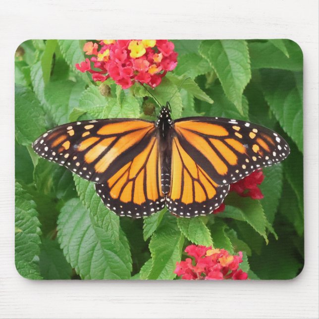 Monarch Butterfly on Lantana  Mouse Pad (Front)