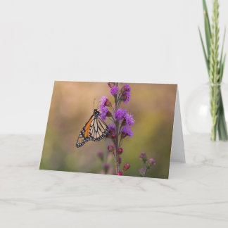 Monarch butterfly on liatris card