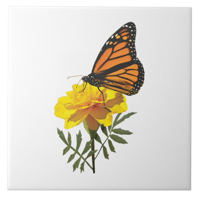 Monarch Butterfly on Marigold Tile (Front)