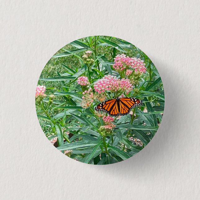 Monarch Butterfly on Milkweed   1 Inch Round Button (Front)