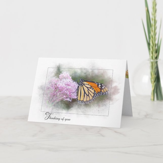 Monarch Butterfly on Milkweed Card (Front)