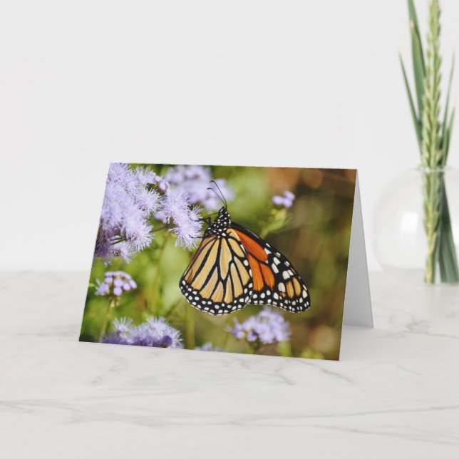 Monarch Butterfly on Mist Flowers Art Note Card (Front)