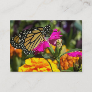 Monarch butterfly on pink marigold-business cards