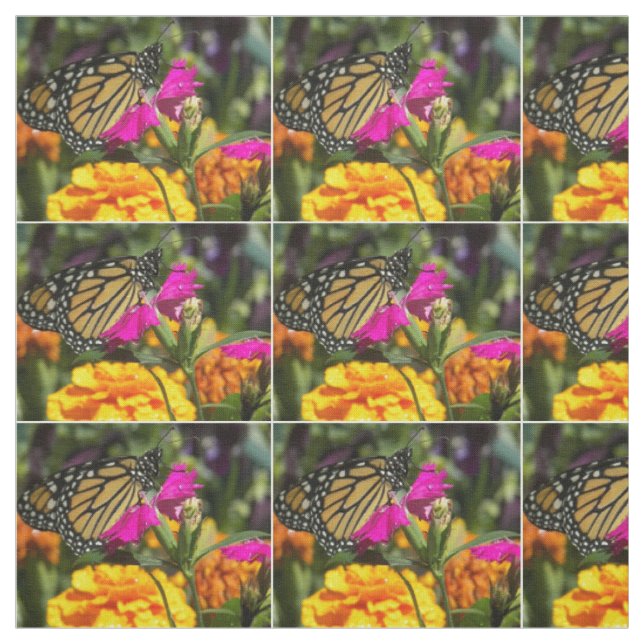 Monarch Butterfly on pink marigold Fabric (Swatch)