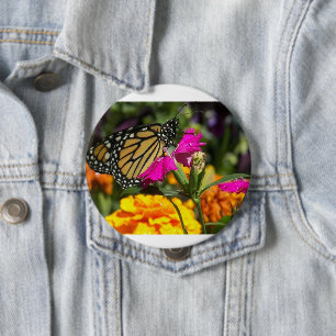 Monarch Butterfly on Pink Marigold Flower 4 Inch Round Button
