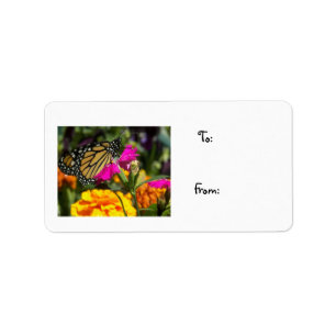 Monarch Butterfly on pink marigold-label Label