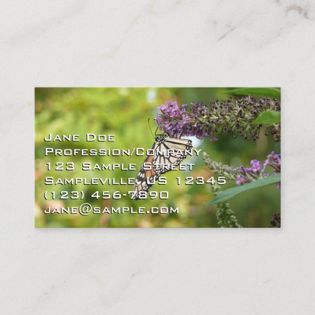 Monarch Butterfly on Purple Butterfly Bush Business Card (Front)