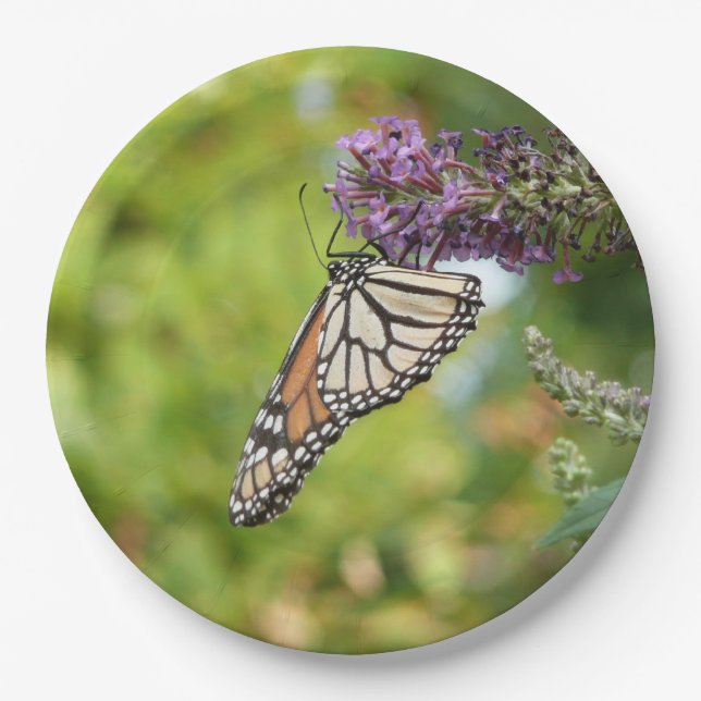 Monarch Butterfly on Purple Butterfly Bush Paper Plate (Front)