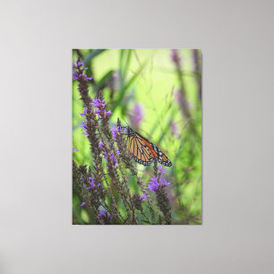 Monarch Butterfly on Purple Flowers against Green Canvas Print