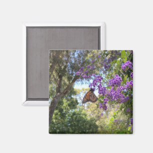 Monarch Butterfly on Purple Flowers Magnet
