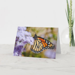 Monarch Butterfly on Purple Flowers Note Card