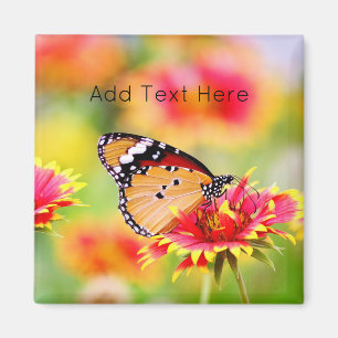 Monarch Butterfly on Red and Yellow Flower Magnet