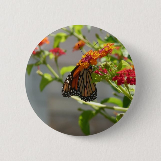 Monarch Butterfly on Red Butterfly Bush 2 Inch Round Button (Front)