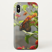 Monarch Butterfly on Red Butterfly Bush