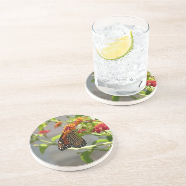 Monarch Butterfly on Red Butterfly Bush Coaster (Side)