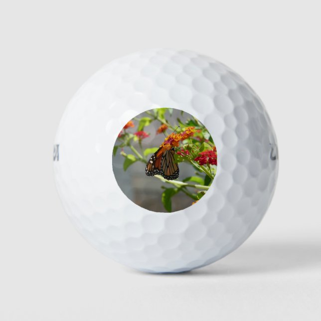 Monarch Butterfly on Red Butterfly Bush Golf Balls (Front)