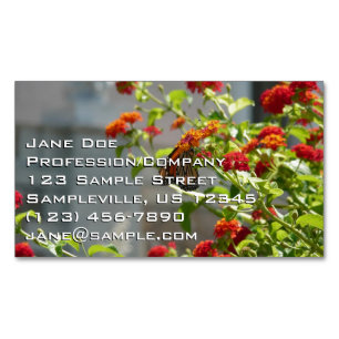 Monarch Butterfly on Red Butterfly Bush Magnetic Business Card