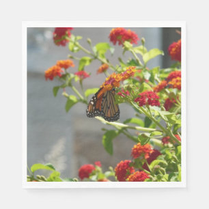 Monarch Butterfly on Red Butterfly Bush Napkin