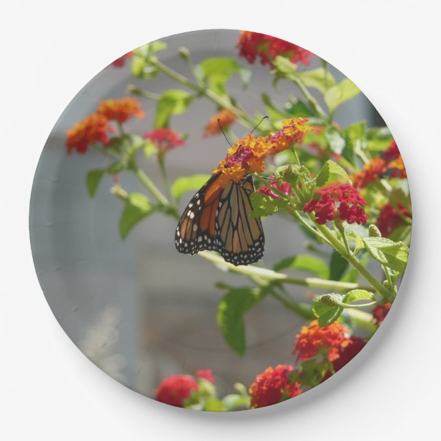 Monarch Butterfly on Red Butterfly Bush Paper Plate (Front)